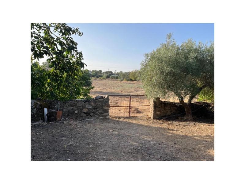 Plot for Sale in Valencia de Alcántara