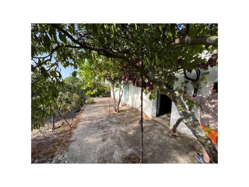 Plot for Sale in Valencia de Alcántara