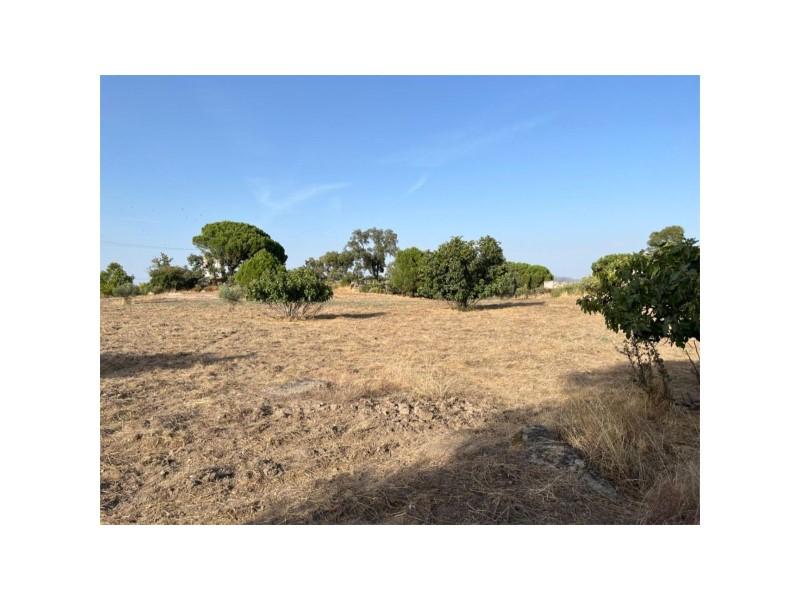 Plot for Sale in Valencia de Alcántara