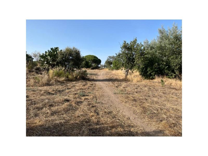 Plot for Sale in Valencia de Alcántara