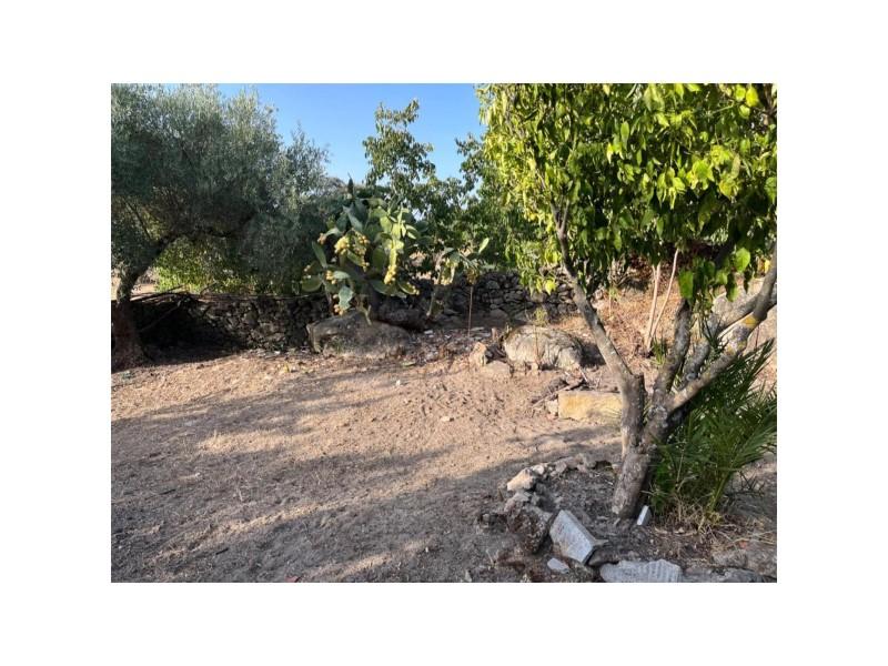 Plot for Sale in Valencia de Alcántara