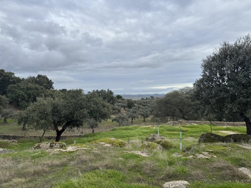 House for Sale in San Vicente de Alcántara