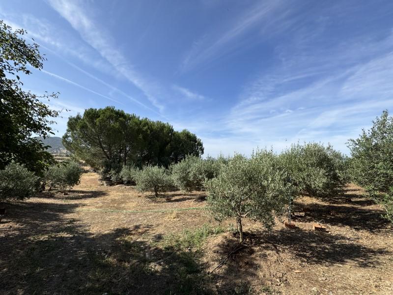 Casa en Venta en Santiago de Alcántara