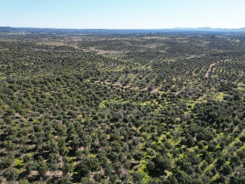 Plot for Sale in Valencia de Alcántara