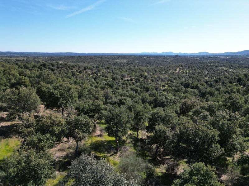 Plot for Sale in Valencia de Alcántara