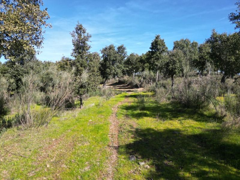 Plot for Sale in Valencia de Alcántara
