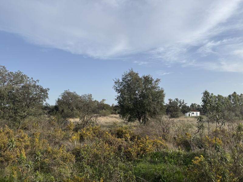 Plot for Sale in Badajoz