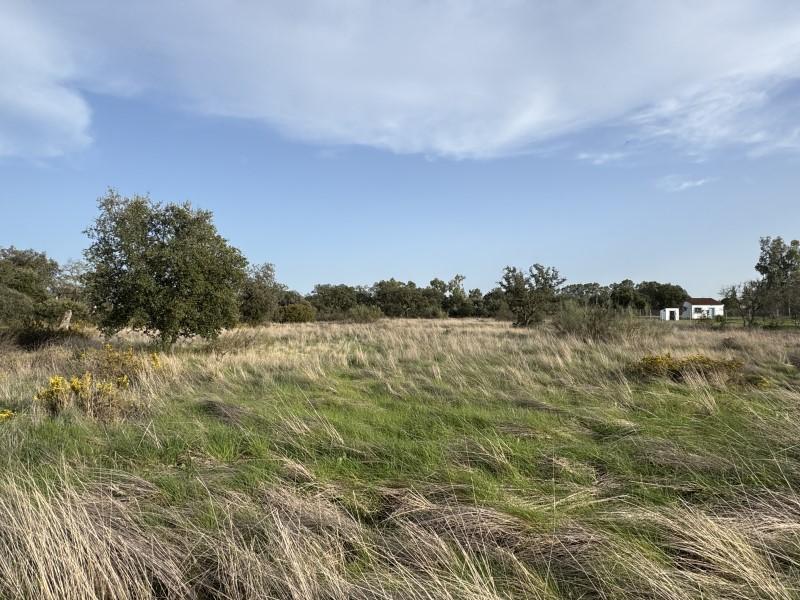 Plot for Sale in Badajoz