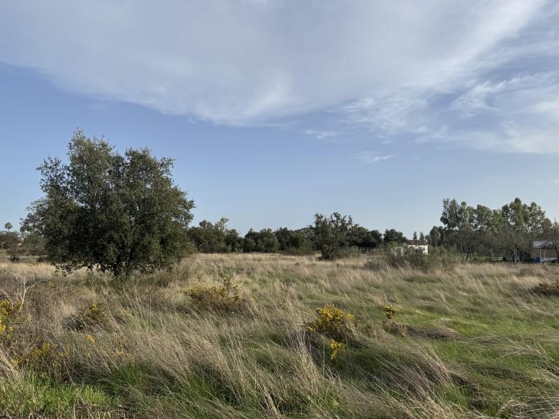 Plot for Sale in Badajoz
