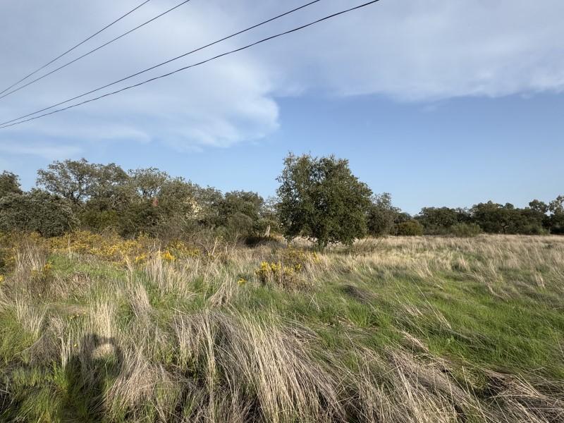 Plot for Sale in Badajoz