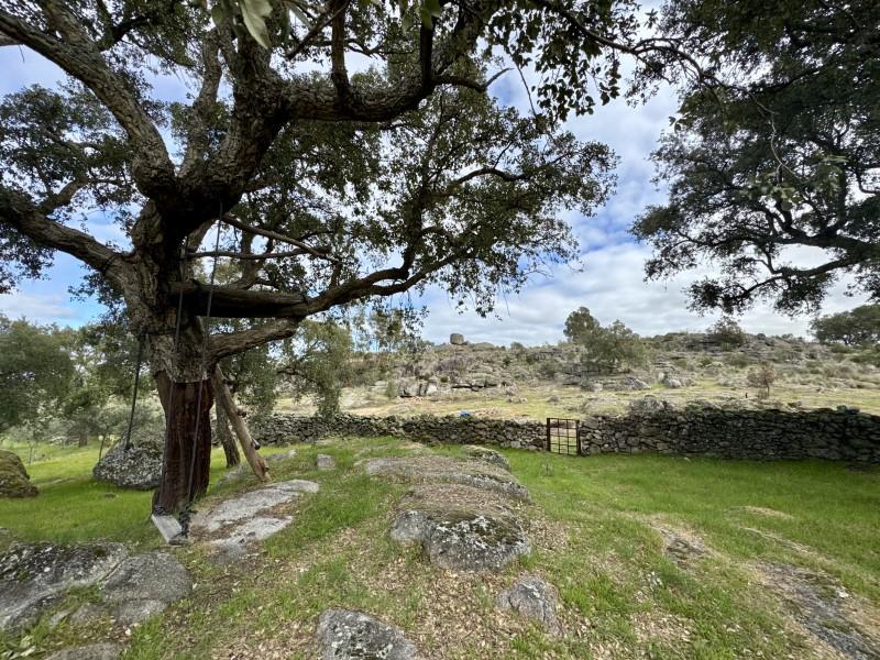 House for Sale in Valencia de Alcántara