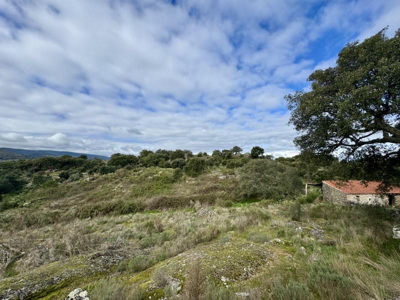House for Sale in Valencia de Alcántara