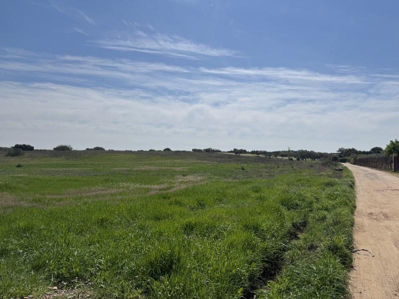 Plot for Sale in Badajoz