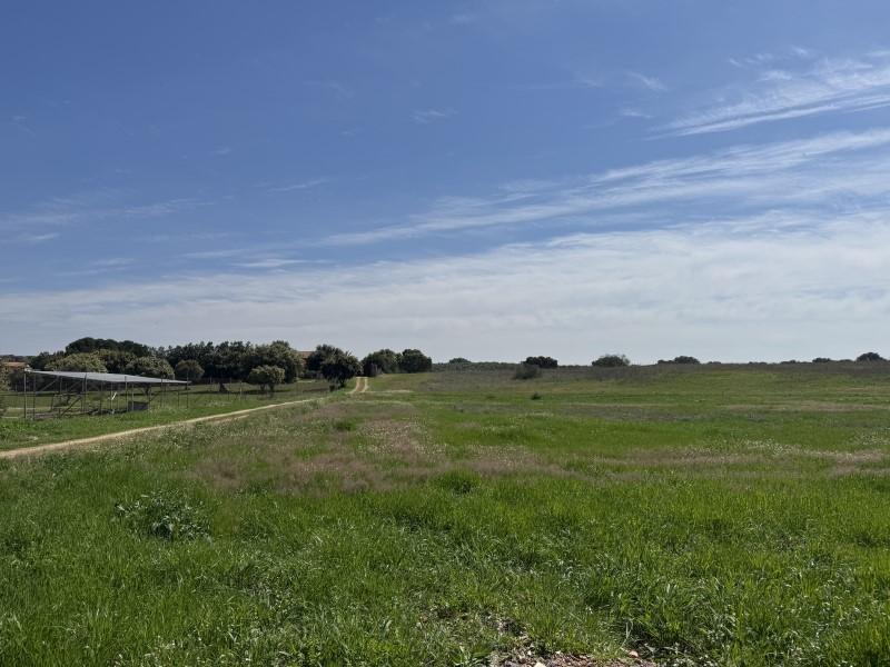 Plot for Sale in Badajoz