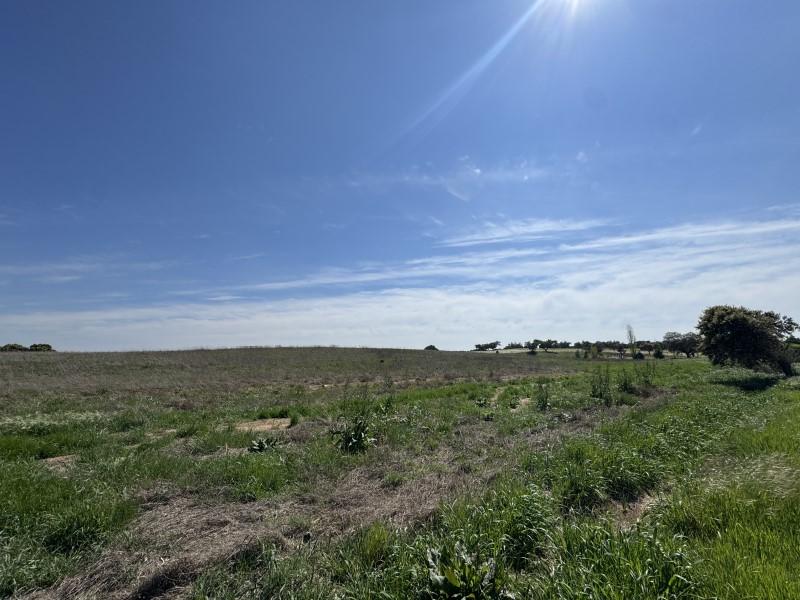 Plot for Sale in Badajoz