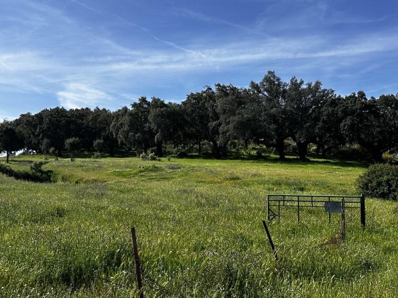 Finca en Venta en Valencia de Alcántara
