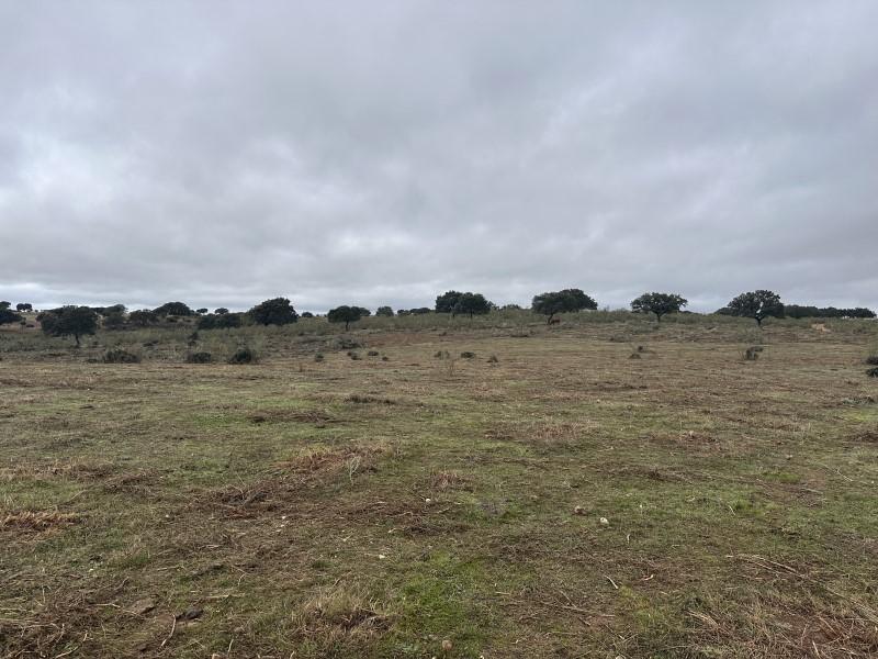 Finca en Venta en Valencia de Alcántara