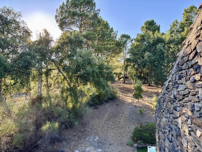 Casa en Venta en Valencia de Alcántara
