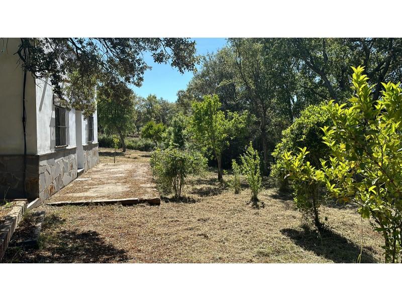 Finca en Venta en Valencia de Alcántara