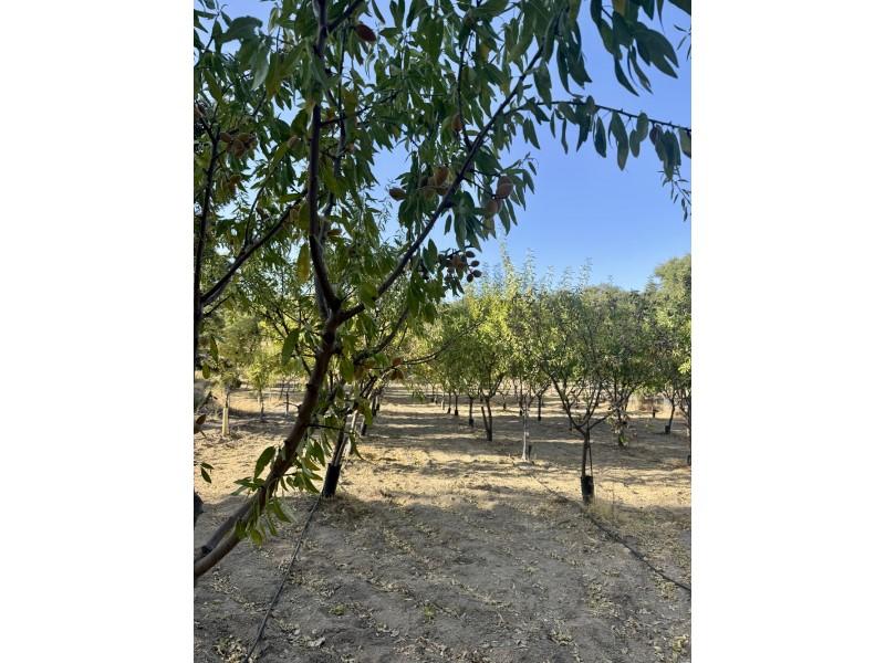 Casa en Venta en San Vicente de Alcántara