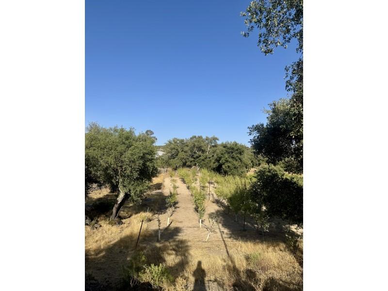 Casa en Venta en San Vicente de Alcántara