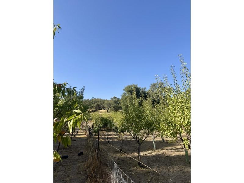 Casa en Venta en San Vicente de Alcántara