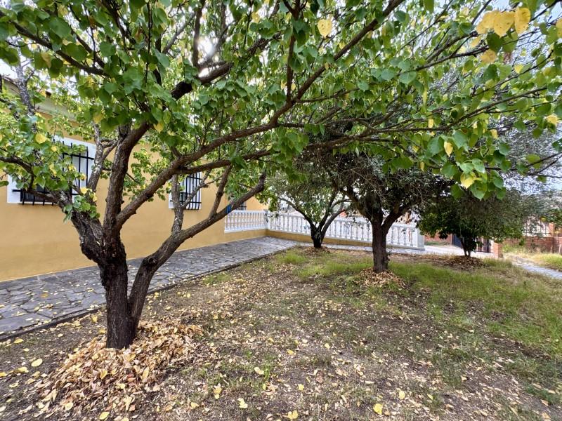 Chalet en Venta en Valencia de Alcántara