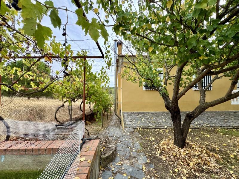 Chalet en Venta en Valencia de Alcántara