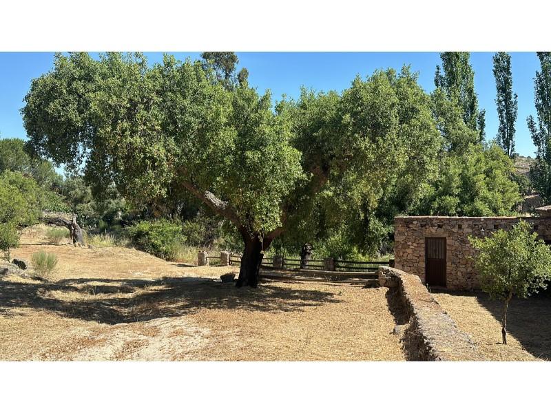 Chalet for Rent in Valencia de Alcántara