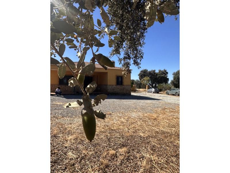 Casa en Venta en Zarza-Capilla