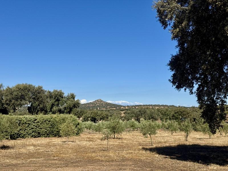 Casa en Venta en Zarza-Capilla