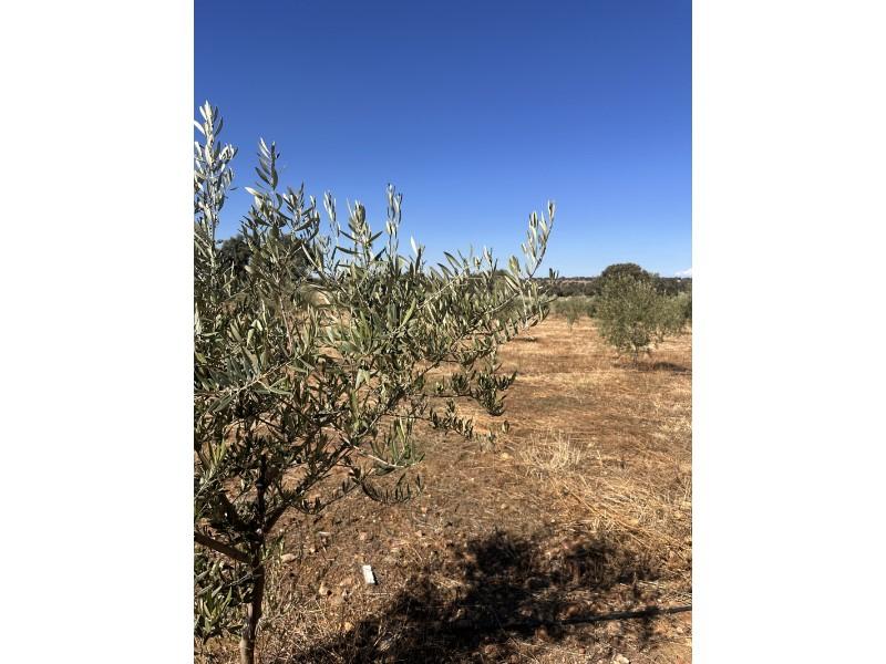 Casa en Venta en Zarza-Capilla