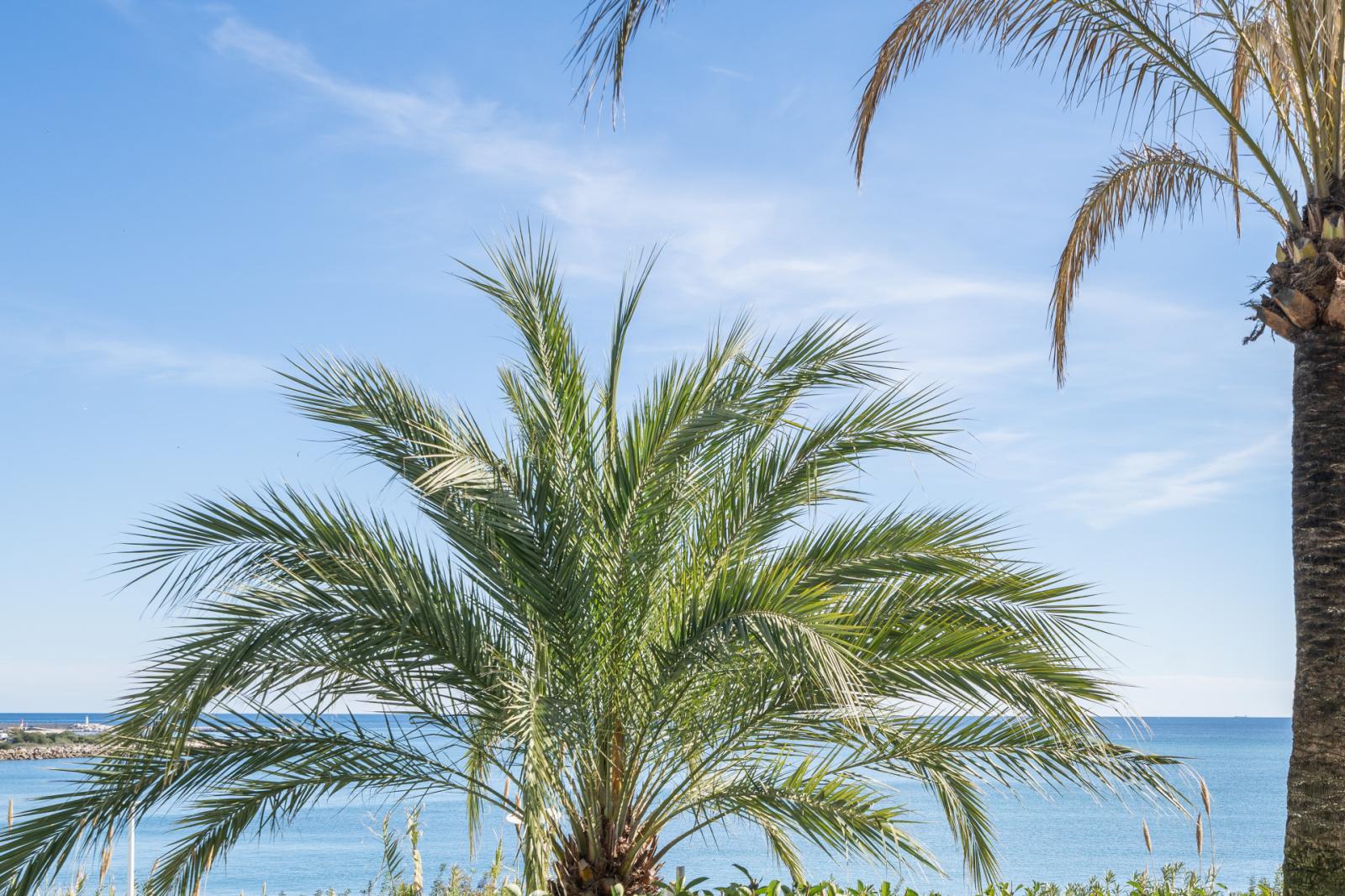 Apartment for Sale in Estepona