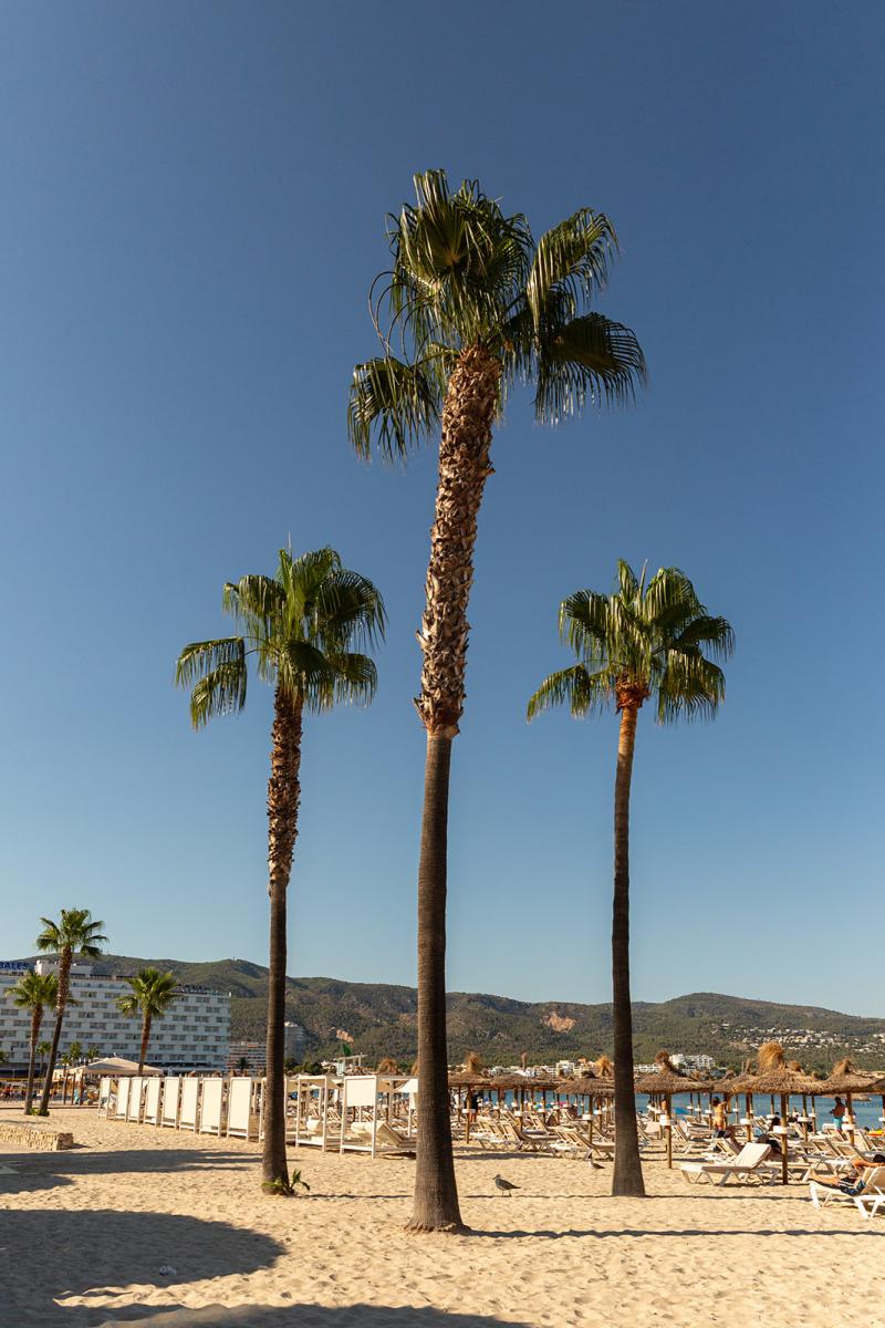 Apartamento en Venta en Calvià