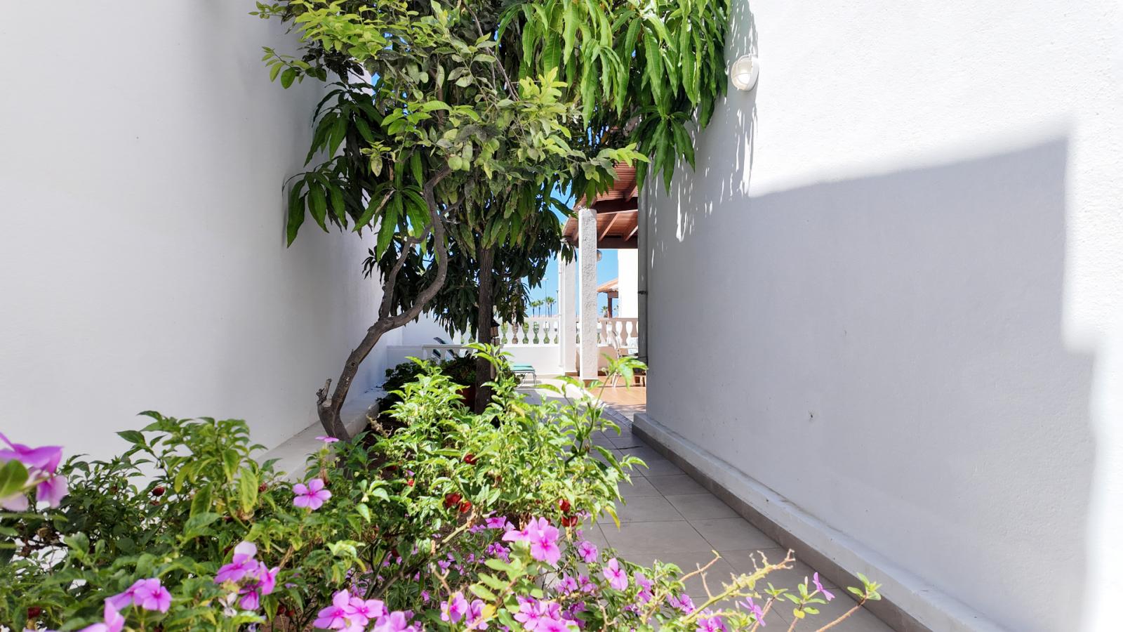 Villa for Sale in Adeje