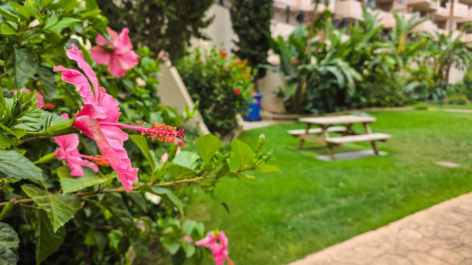 Apartamento en Venta en Manilva