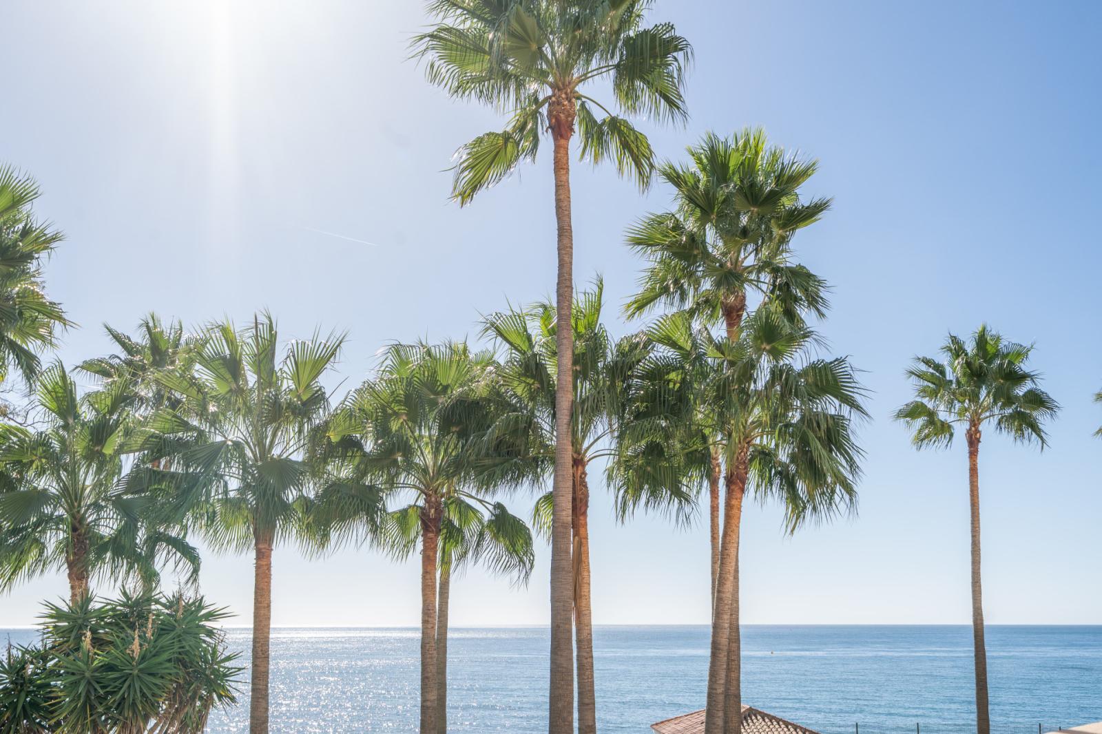 Penthouse for Sale in Estepona