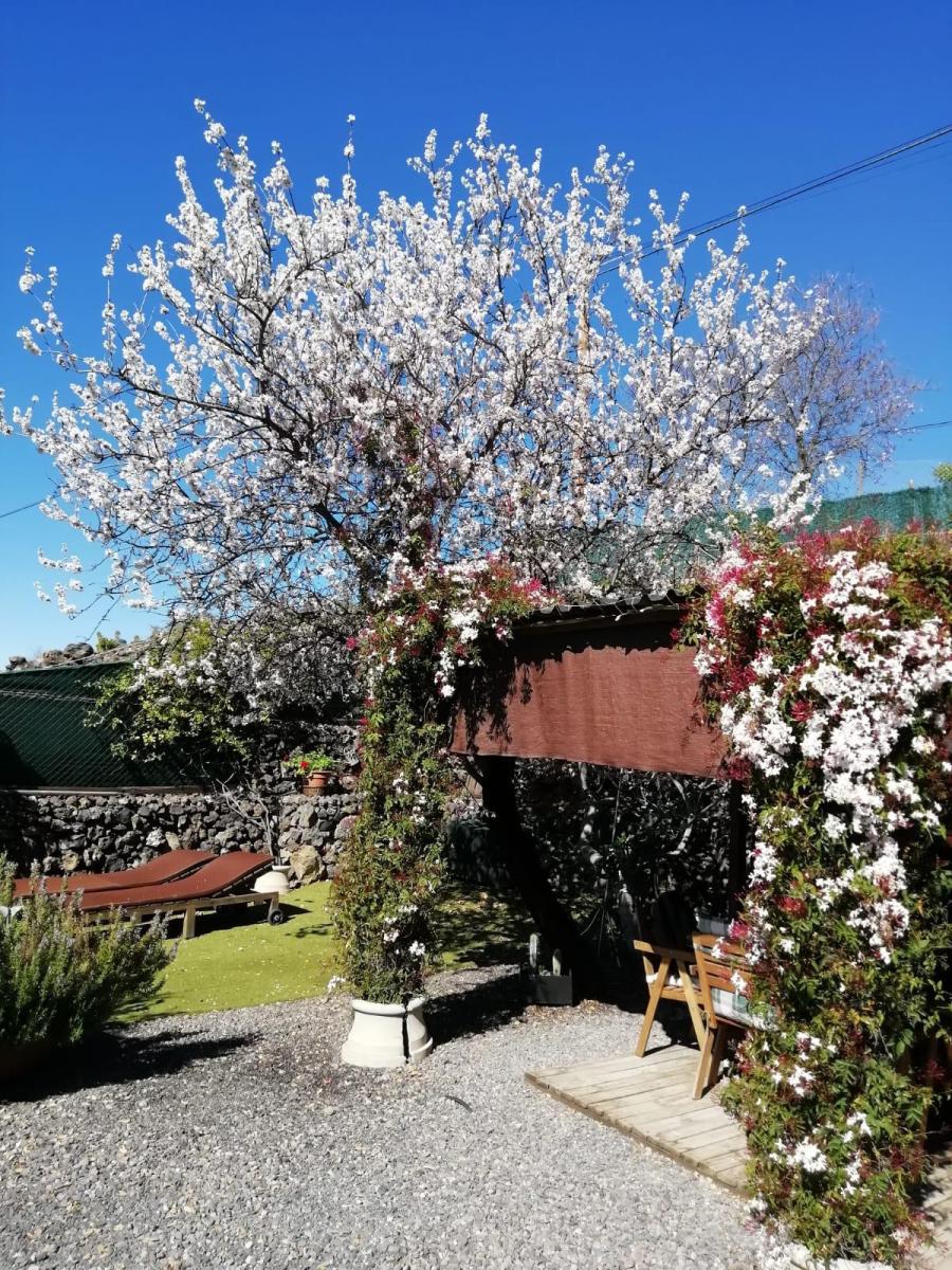 Casa en Venta en Guía de Isora
