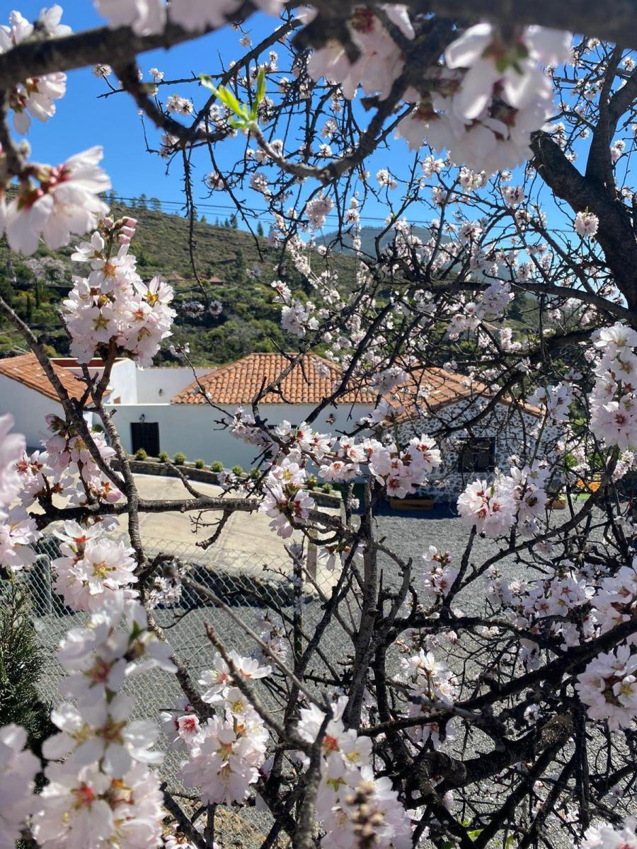Casa en Venta en Guía de Isora
