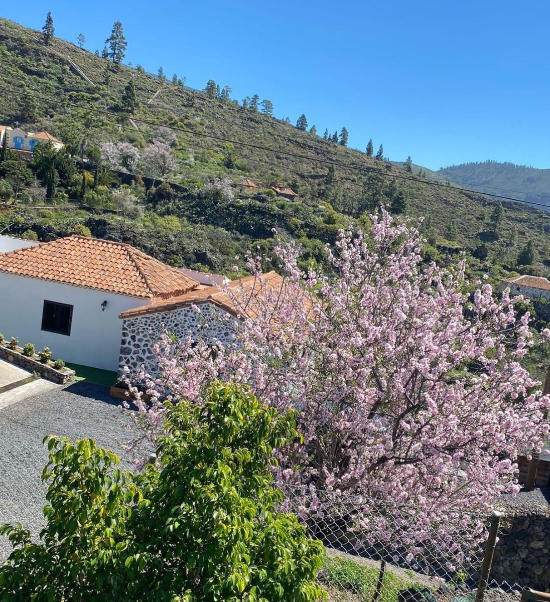 Casa en Venta en Guía de Isora