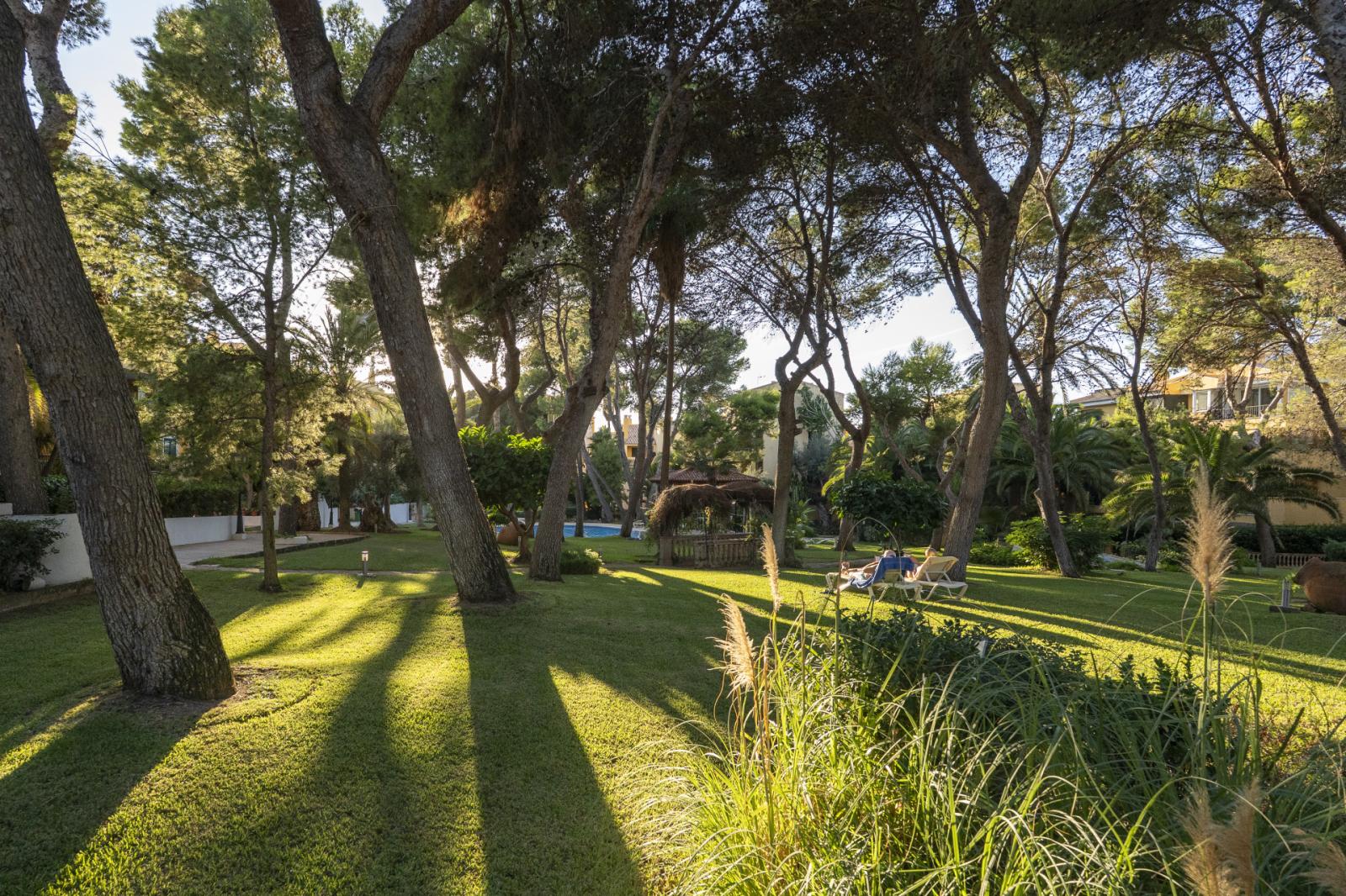 Apartment for Sale in Calvià