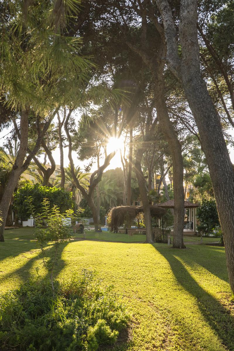 Apartment for Sale in Calvià
