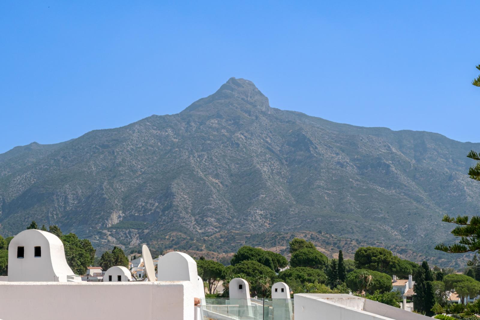 Penthouse for Sale in Marbella