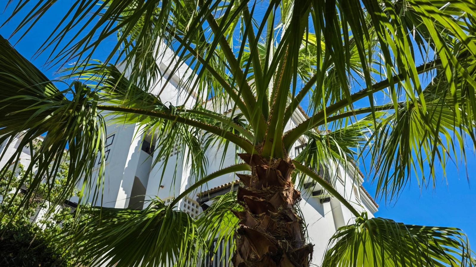 Penthouse for Sale in Manilva