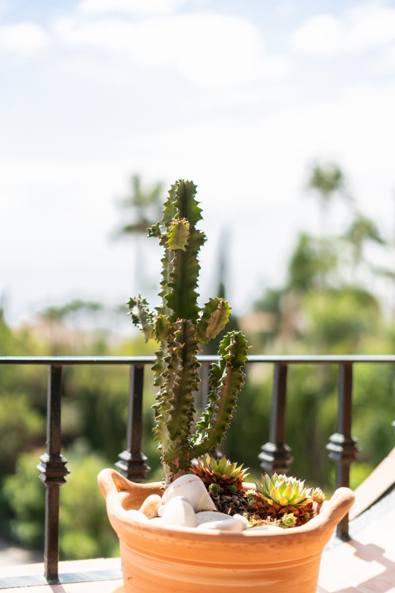 Penthouse for Sale in Estepona