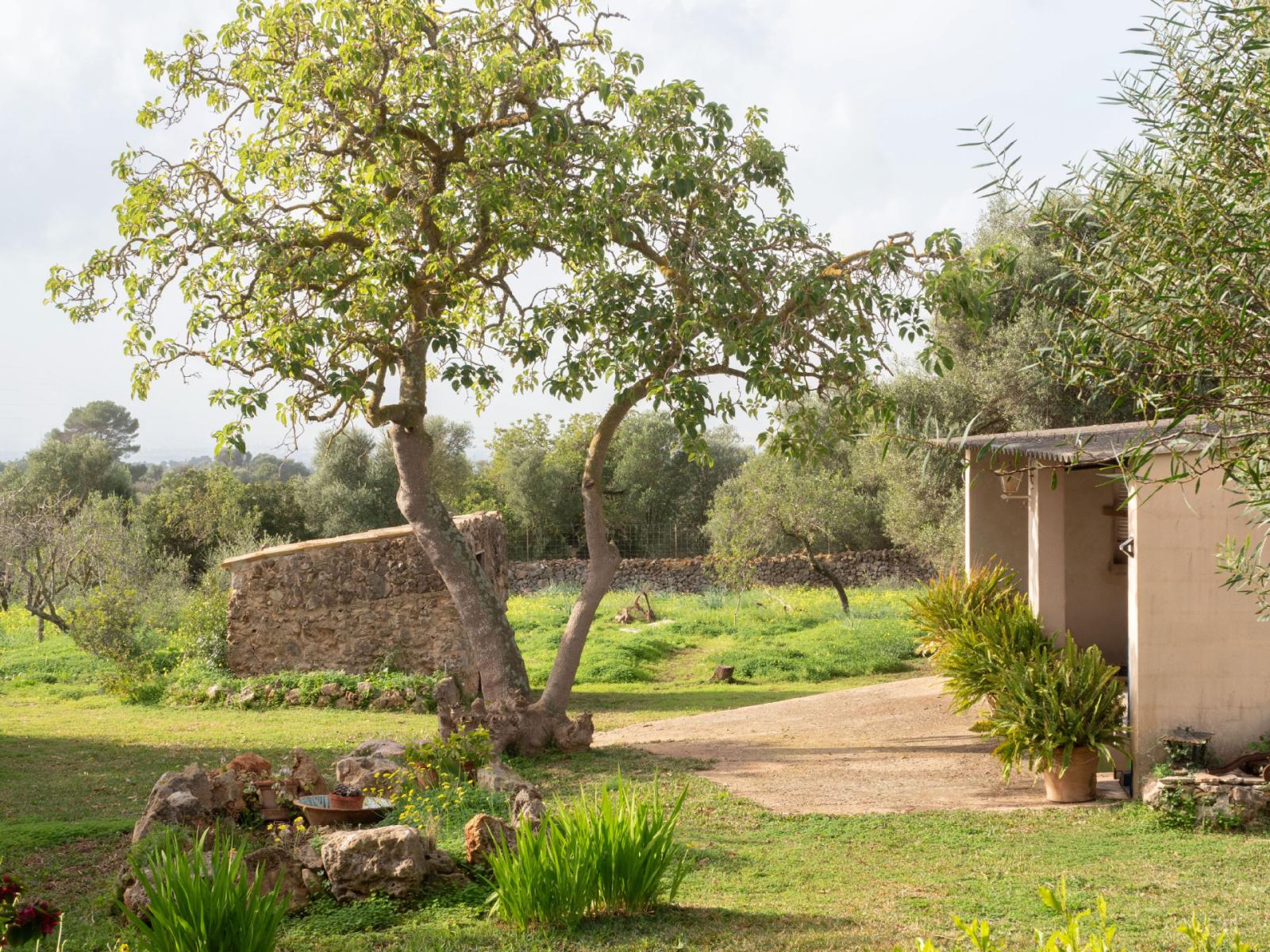 Finca en Venta en Marratxí