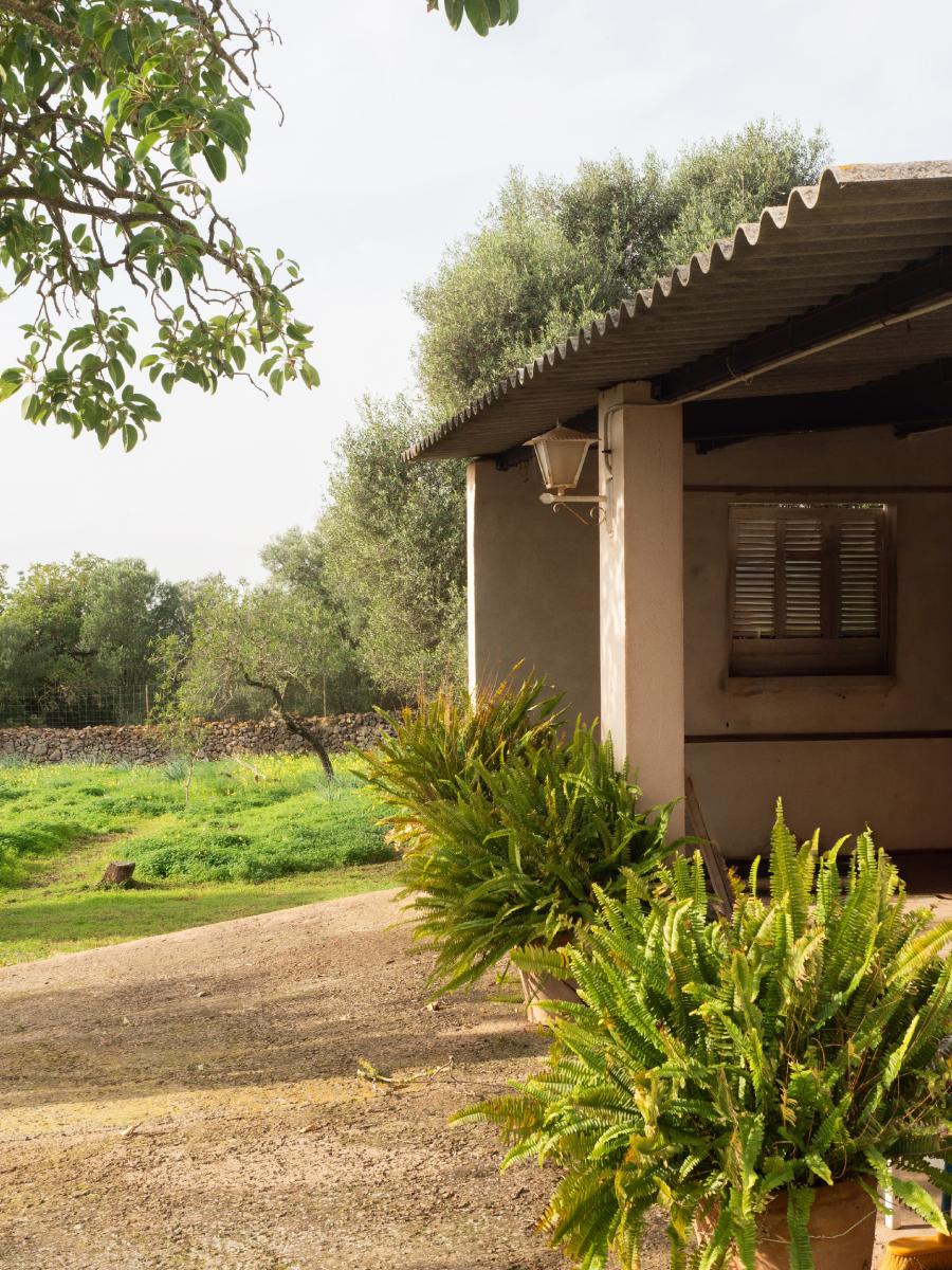 Finca en Venta en Marratxí