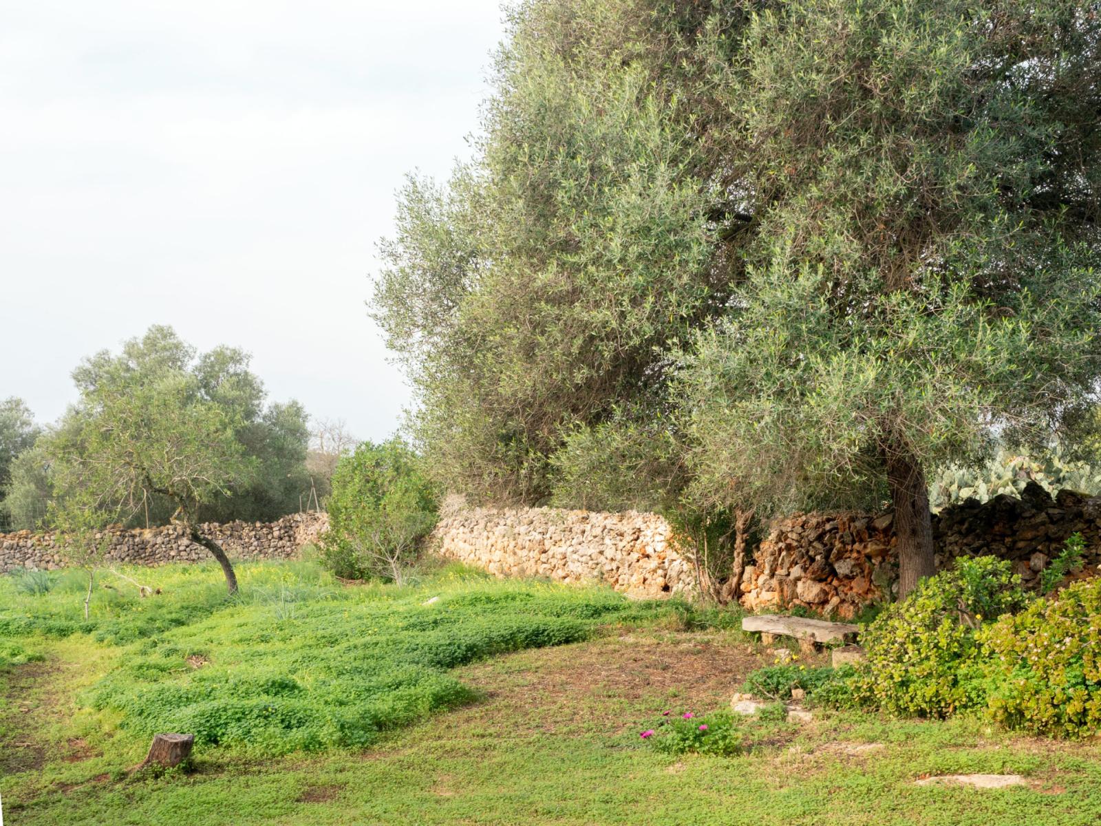 Finca en Venta en Marratxí