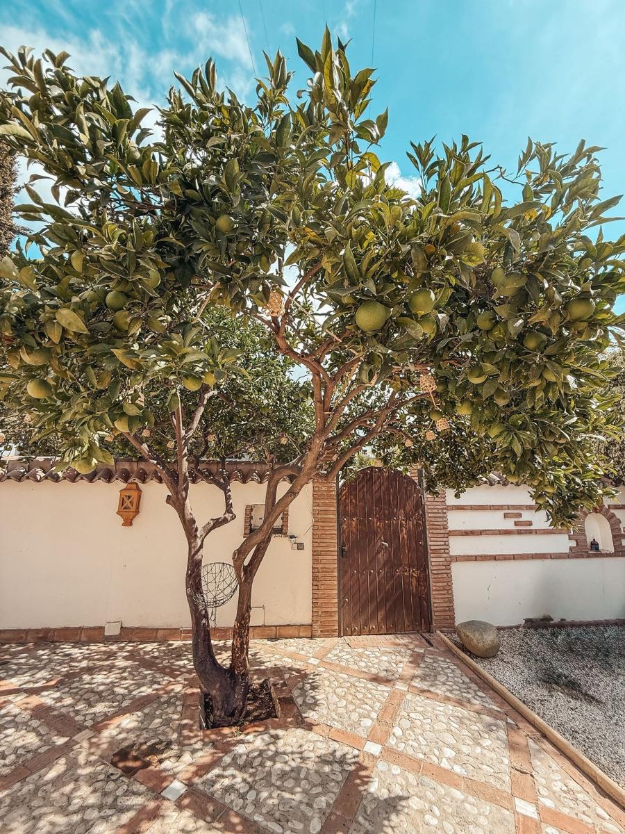 Villa en Venta en Marbella