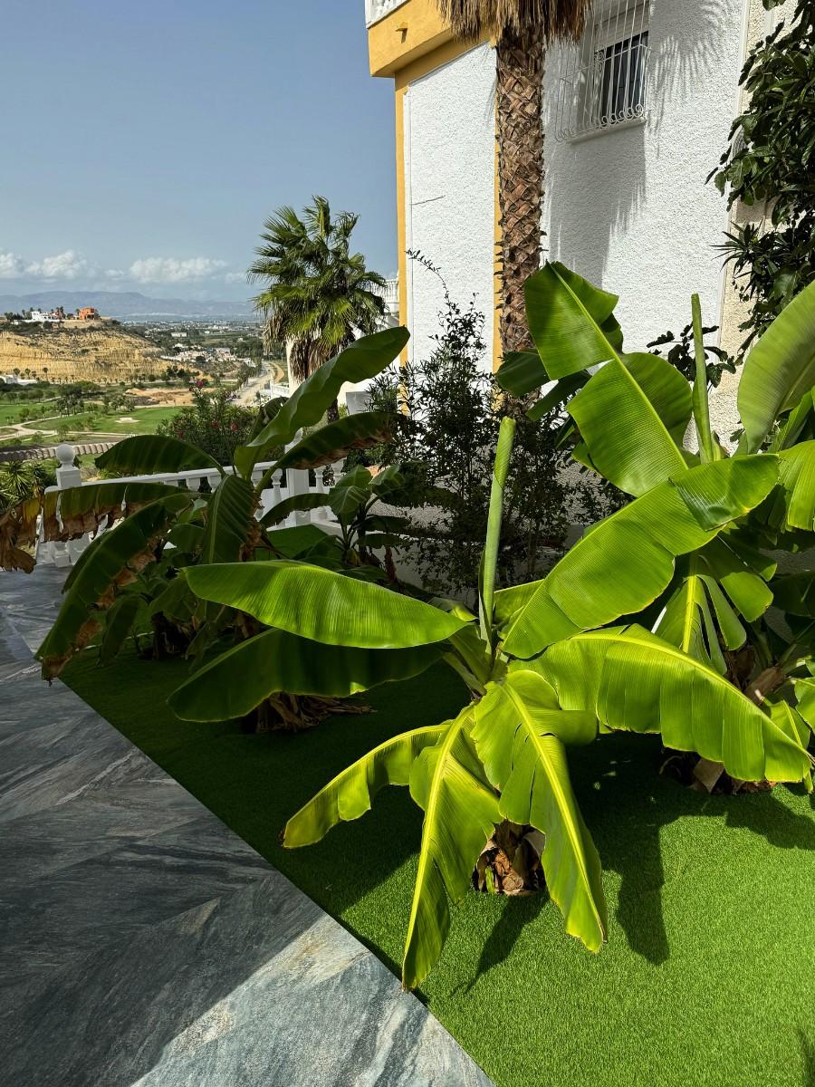 Villa en Venta en Rojales